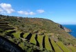 pantelleria-vite-paesaggio-a-terrazze-640x426